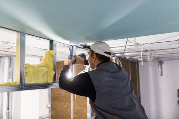 Best Spray Foam Insulation in Mclendon Chisholm, TX