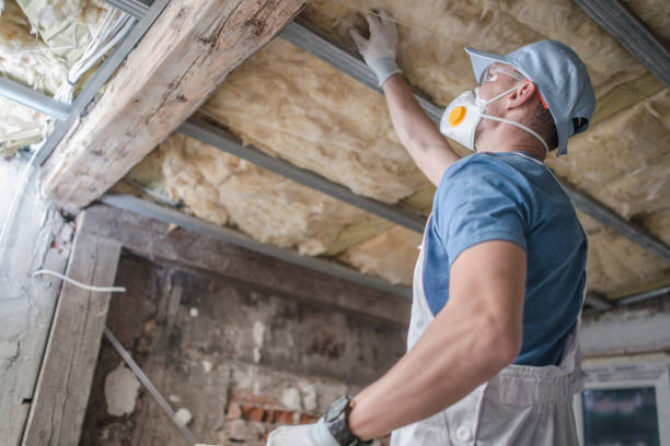 Best Specialized Insulation Services in Mclendon Chisholm, TX