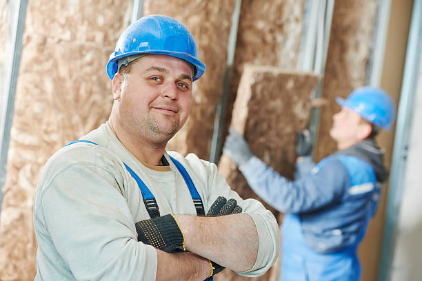Best Cellulose Insulation in Mclendon Chisholm, TX